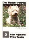 West Highland white terrier. Das Rasse-Portrait