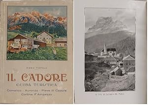 Immagine del venditore per IL CADORE. Guida turistica. Comelico - Auronzo - Pieve di Cadore - Cortina d'Ampezzo. venduto da SCRIPTORIUM Studio Bibliografico