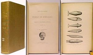 Imagen del vendedor de Sixth Annual Report of the Bureau of Ethnology to the Secretary of the Smit hsonian Institution 1884-'85. ex-lib a la venta por John W. Doull, Bookseller