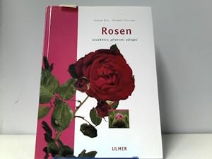 Rosen: Auswählen, pflanzen, pflegen