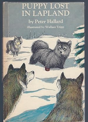 Seller image for PUPPY LOST in LAPLAND (Elkhound Puppy) for sale by Larimar Animal Books