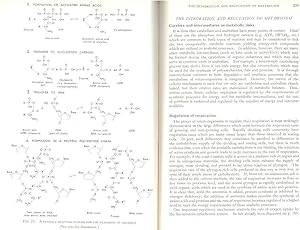 Seller image for An Introduction to the Biology of Micro-Organisms. [Microbiology][Morphology and Life-cycles of Micro-organisms; Physiology and Metabolism of Micro-organisms; Ecology of Micro-organisms; Some Techniques Used in the Study of Micro-organisms] for sale by Joseph Valles - Books
