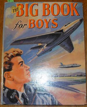 Big Book for Boys, The