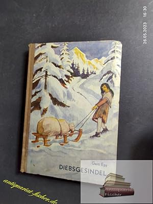 Imagen del vendedor de Diebsgesindel. Stern-Reihe a la venta por Antiquariat-Fischer - Preise inkl. MWST