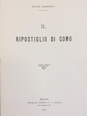 Il ripostiglio di Como.