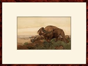 Seller image for The Return of the Buffalo Herd. From The Jungle Book by Rudyard Kipling. for sale by Peter Harrington.  ABA/ ILAB.