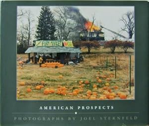 Immagine del venditore per American Prospects venduto da Derringer Books, Member ABAA
