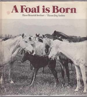 Immagine del venditore per A Foal Is Born venduto da HORSE BOOKS PLUS LLC