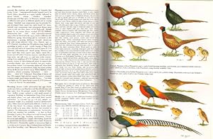 Handbook of the birds of Europe, the Middle East and North Africa. The birds of the Western ...