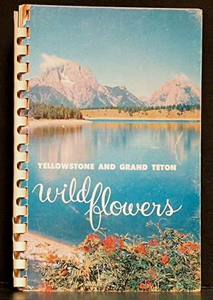 Imagen del vendedor de Wildflowers of Yellowstone and Grand Teton National parks a la venta por Schroeder's Book Haven