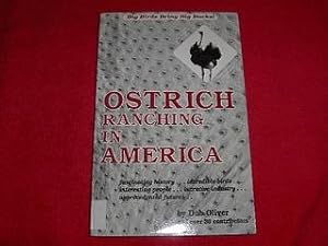 Ostrich Ranching in America : Big Birds Bring Big Bucks