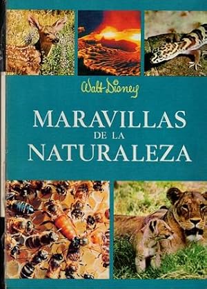 Seller image for MARAVILLAS DE LA NATURALEZA. for sale by Librera DANTE