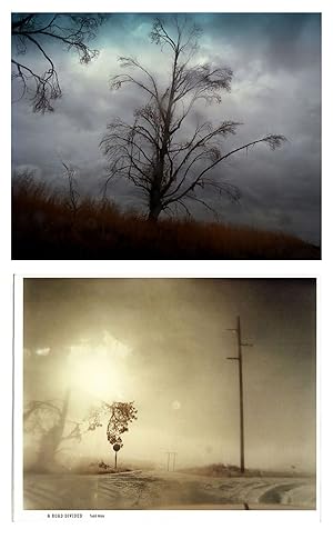 Bild des Verkufers fr Todd Hido: A Road Divided, Special Limited Edition (with Type-C Print) zum Verkauf von Vincent Borrelli, Bookseller