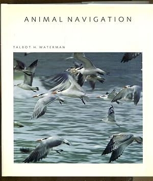 Animal Navigation