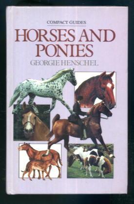 Horses and Ponies