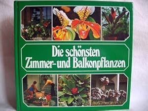 Die schönsten Zimmer- und Balkonpflanzen. Allan Moin