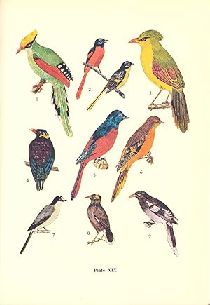 Seller image for Birds of South Vietnam. [Geography and history; Systematic list of birds; Plumage and parts of a typical bird; terminology; Bibliography] for sale by Joseph Valles - Books