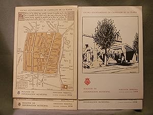 BOLETIN DE INFORMACIÓN MUNICIPAL DEL EXCMO. AYUNTAMIENTO DE CASTELLÓN DE LA PLANA. 1970 COMPLETO.
