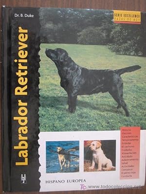 LABRADOR RETIEVER