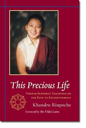 This Precious Life: Tibetan Buddhist Teachings on the Path to Enlightenment