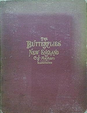 The Butterflies of New England