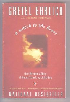 Seller image for A Match to the Heart : One Woman's Story of Being Struck by Lightning for sale by Ray Dertz