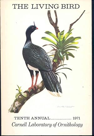 Seller image for The Living bird : Tenth Annual, 1971. [Fruit-Crow in Guyana; Laysan Albatross; American Finfoot in Southern Mexico; Cliff-nesting raptors & ravens along the Colville River in Arctic Alaska; Storks; Chuck-will's Widow; Nicaragua; Galapagos; Blue Jay] for sale by Joseph Valles - Books