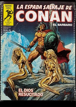 Imagen del vendedor de LA ESPADA SALVAJE DE CONAN EL BARBARO N 45 (EL DIOS RESUCITADO) a la venta por Papel y Letras