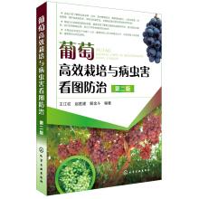 Imagen del vendedor de Grapes. efficient cultivation and plant diseases and insect pests prevention and control of the picture (second edition)(Chinese Edition) a la venta por liu xing