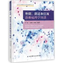 Imagen del vendedor de Vulva. the vagina and cervix diagnosed pathology atlas(Chinese Edition) a la venta por liu xing