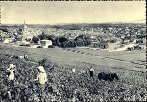 Bild des Verkufers fr Ansichtskarte / Postkarte Reims Marne, Champagne Pommery und Greno, Premier cru de raisins noirs, Weinernte, Ay, Panorama zum Verkauf von akpool GmbH