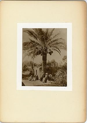 Lekegian, Egypte, Cueillette des dattes, ca.1900 contretype argentique