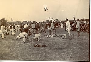 Chine, China, Shanghai, sacrifices animaux, guerre Sino-japonaise (photo Allemande)