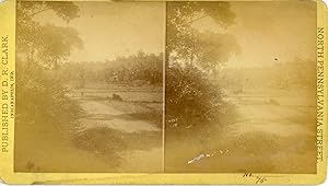 STEREO, D.R. Clark, Vue d'une route, Ceylon, vintage albumen print