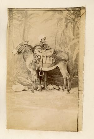 Maghreb, Garçon avec un âne, ca.1880, vintage albumen print