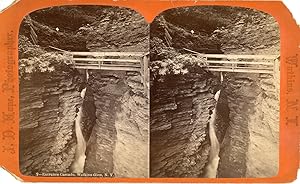 STEREO, J.D. Hope, États-Unis, Entrance Cascade, Watkins Glen N.Y., vintage albumen print