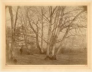 Bild des Verkufers fr Diot. France, tude d'arbres zum Verkauf von photovintagefrance