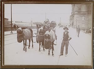 Italie, Milan, Un homme et ses ânes portant de la marchandise, ca.1900, Vintage citrate print