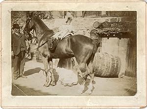 Petite fille à cheval, vers 1900