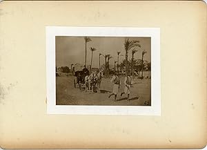 Egypte, Sais courant, ca.1900 contretype argentique