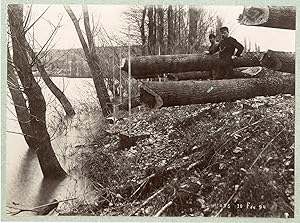 Travaux forestiers, 10 février 1894
