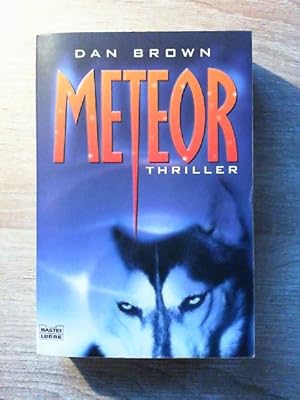 Meteor (Allgemeine Reihe. Bastei Lübbe Taschenbücher)