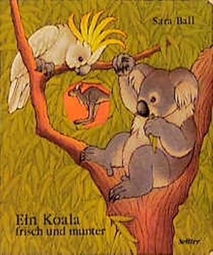 Bild des Verkufers fr Ein Koala frisch und munter. Mit Text zum Verkauf von Versandantiquariat Felix Mcke