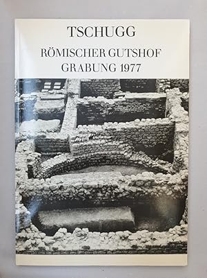 Bild des Verkufers fr Tschugg - rmischer Gutshof: Grabung 1977. Nebengebude. zum Verkauf von Wissenschaftl. Antiquariat Th. Haker e.K