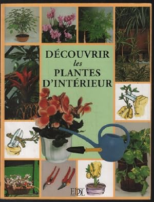 Découvrir les plantes d'intérieur