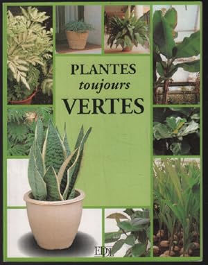 Plantes toujours vertes