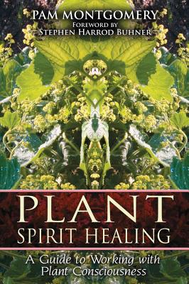 Seller image for Plant Spirit Healing: A Guide to Working with Plant Consciousness (Paperback or Softback) for sale by BargainBookStores