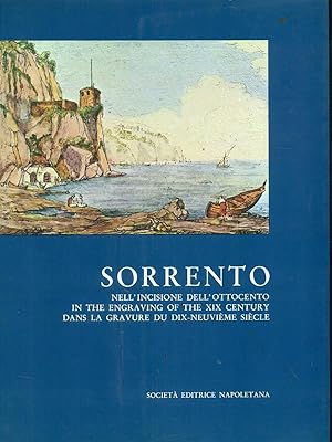 Bild des Verkufers fr Sorrento nell'incisione dell'Ottocento zum Verkauf von Librodifaccia