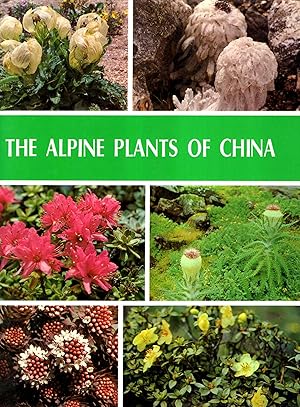 Imagen del vendedor de The Alpine Plants of China a la venta por Pendleburys - the bookshop in the hills