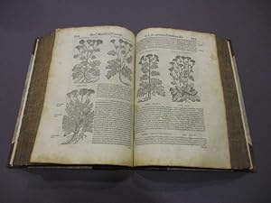 Bild des Verkufers fr Commentarii secundo aucti, in libros sex Pedacii Dioscordis Anazarbei de medica materia. Adiectis quam plantarum; & animalium imaginibus quae in priore editione non habentur, eodem authore. His accessit eiusdem apologia adversus amathum Lusitanum, quin & censura in eiusdem enarrationes. zum Verkauf von Matthaeus Truppe Antiquariat